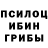 Галлюциногенные грибы мухоморы theozman38