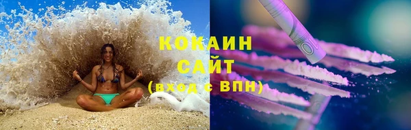 индика Балахна