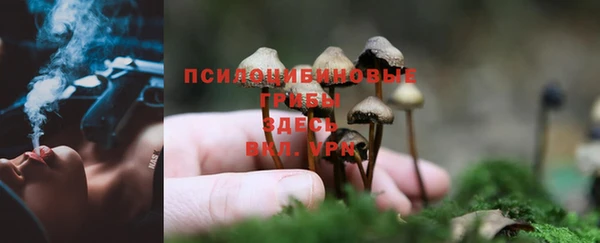 стафф Баксан
