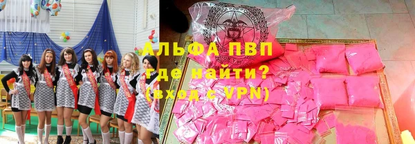 индика Балахна