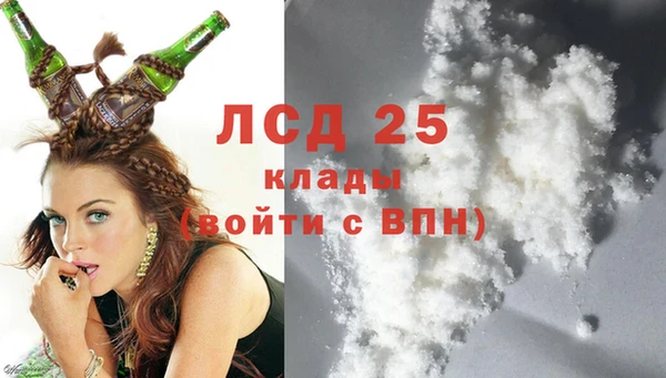 индика Балахна