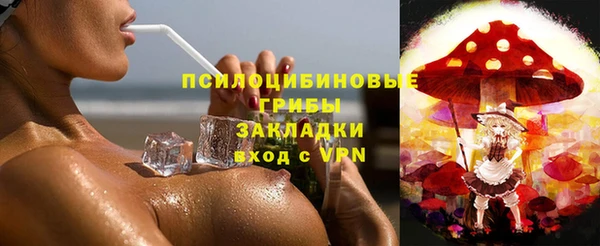 индика Балахна